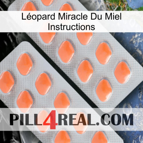 Léopard Miracle Du Miel Instructions 27